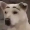 cejas