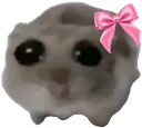 sadhammy