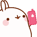 bunny_photo