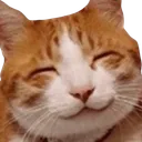 CatSmile