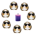 :stripecircle: