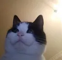 helloc