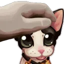 PETTHEMOOSE