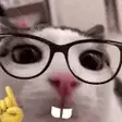 xojayl1NERD