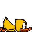 saduckbyebye