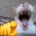 nub nub