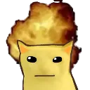 The_Cat_Boom