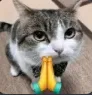 FinoPray