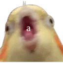 c79888dd83e347d0b870a2fbf948c628