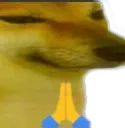 Doggo_pray