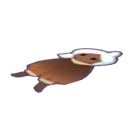 flat_moth