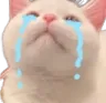 CatCry