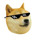 dogeCoolMlgSunGlasses