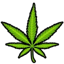 generacija_weed