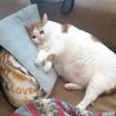 emoji_10 Discord emoji