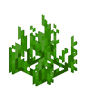 grass
