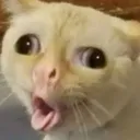 emoji_141