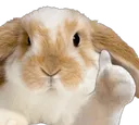 ThumbsUPBunny ThumbsUPBunny