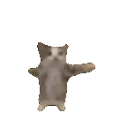 cat_dancing