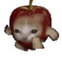 cat_apple