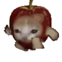 cat_apple