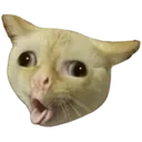 8479pukecat