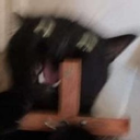 sage Discord emoji