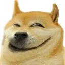 trolldoge
