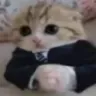 emote