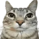 brainlet