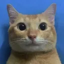 maxresdefault111 maxresdefault111