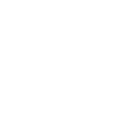 dscboticonbut
