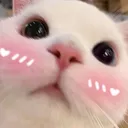 zblush