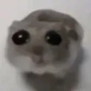 sad