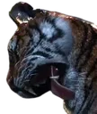 tigerlick tigerlick