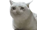 crys