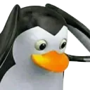 notlikepenguin notlikepenguin