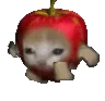 Applecatrun