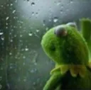 FY_sadkermit Discord Emoji