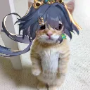 YunliCat1