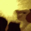 catfight