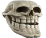 trollskull