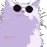 GojoCatVibe