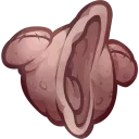 Pogling