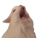 emoji_29