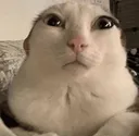 :thenep: