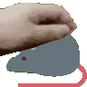 petrae2d