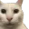 Uncannycat Discord Emoji