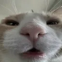 emoji_30
