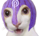 :PythCat: